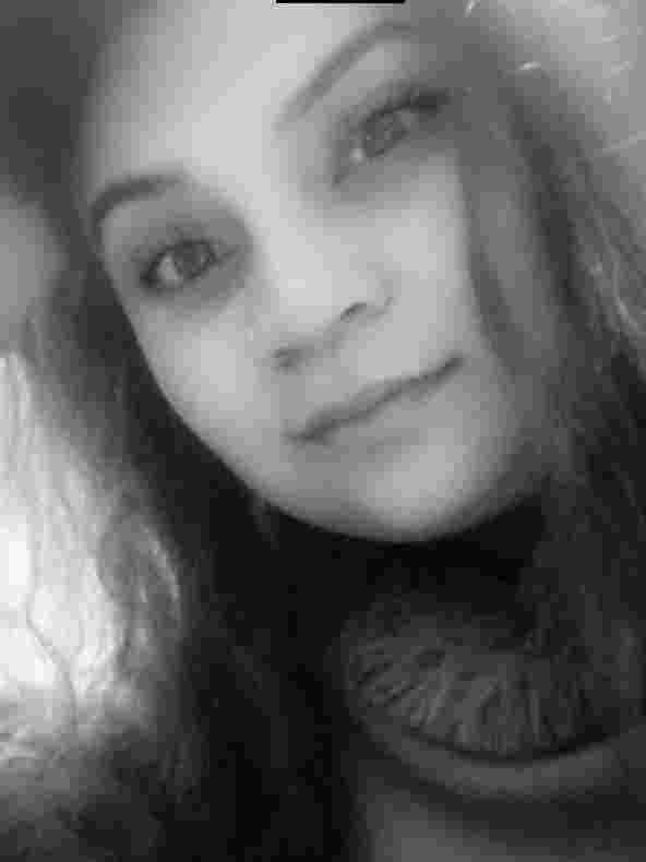 Gull